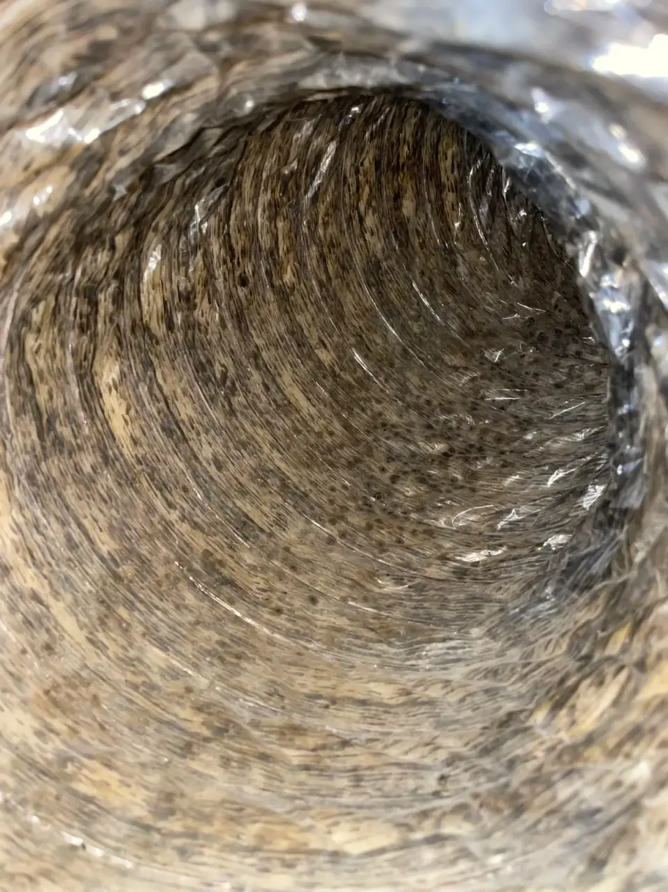Why Does My House Get Dusty Right After I Clean? Duct Questions to Consider 3 dust and buildup visible inside residential ductwork, real company service photo 4