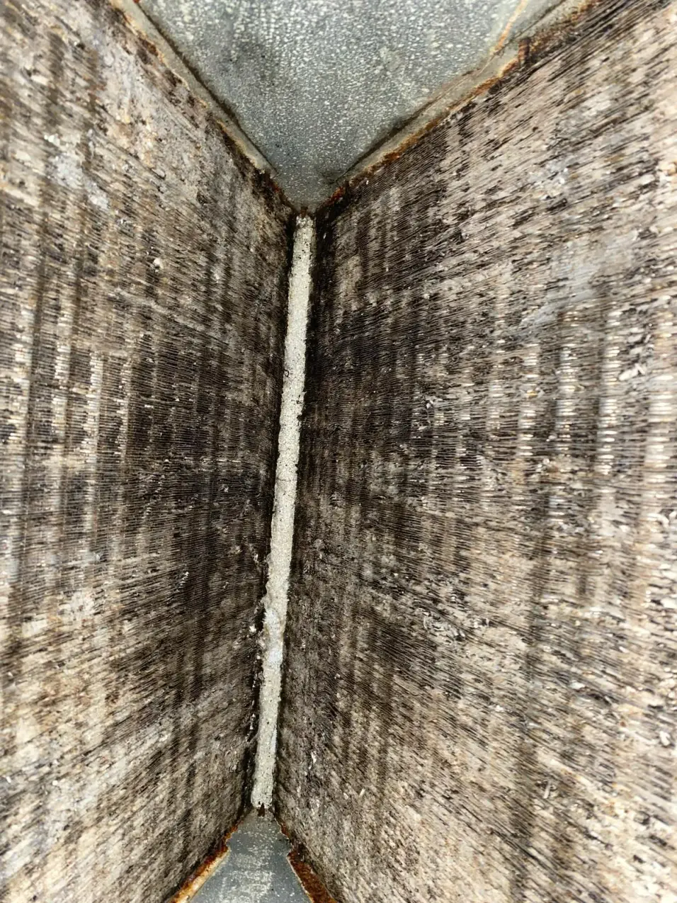 Musty Smell From Vents When the AC Turns On 3 ductwork checked for moisture and visible buildup, real company service photo 4
