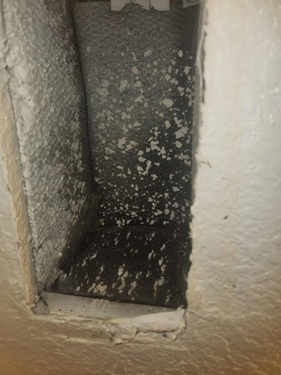 Musty Smell From Vents When the AC Turns On 5 ductwork checked for moisture and visible buildup, real company service photo 5