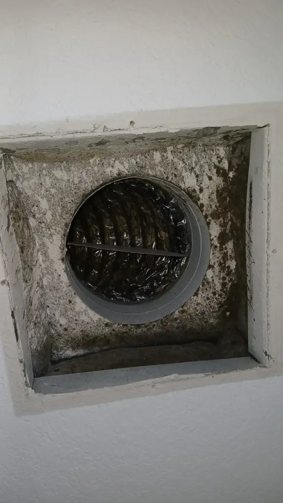 Musty Smell From Vents When the AC Turns On 2 ductwork checked for moisture and visible buildup, real company service photo 1