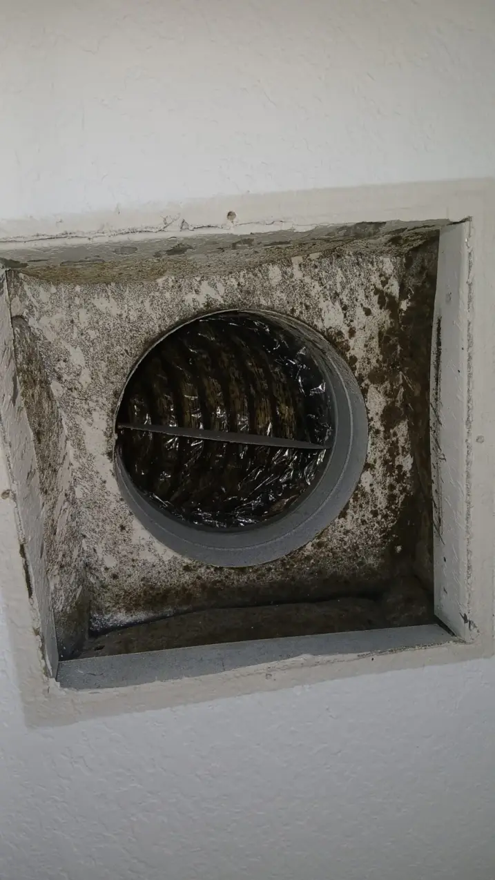 Musty Smell From Vents When the AC Turns On 1 ductwork checked for moisture and visible buildup, real company service photo 1