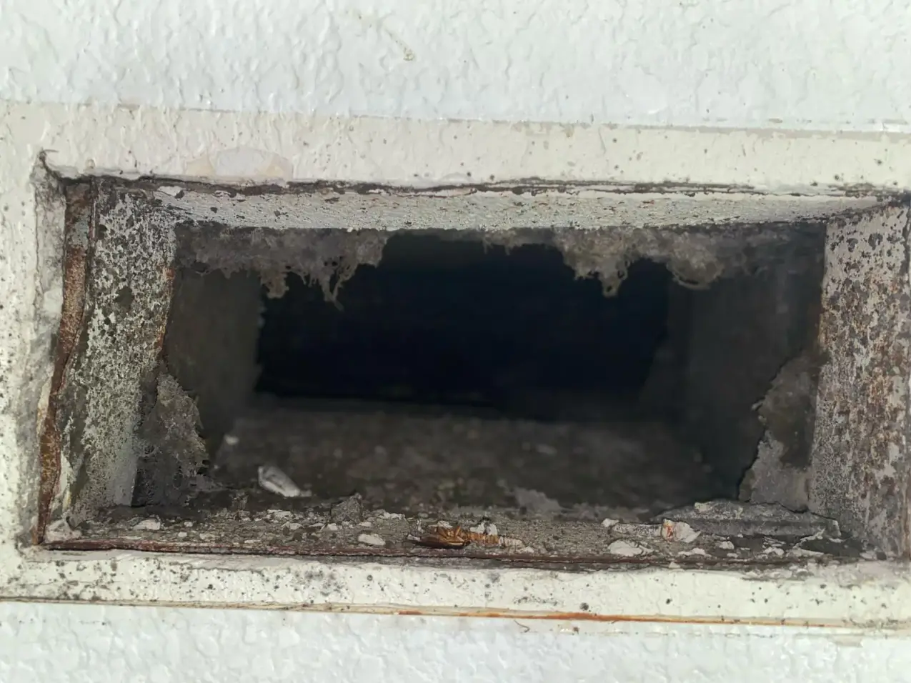 What Is Duct Leakage Testing, and When Is It Worth Scheduling? 1 duct openings and connections checked for leakage, real company service photo 1